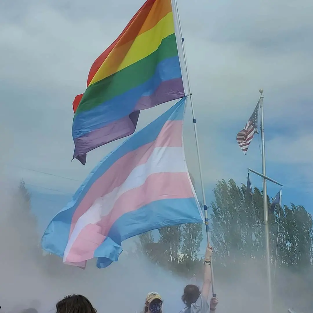 LGBTQ and Trans flags